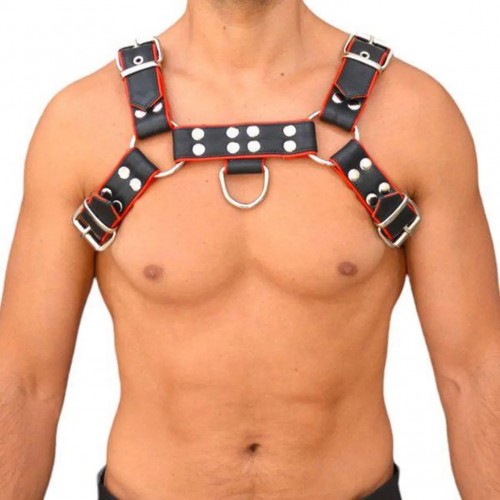 Leather Harness