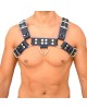 Men's Real Leather Harness, Premium Leather Harness, Handcrafted Fetish Bulldog Chest Harness With Blue Piping, Adjustable Fit.