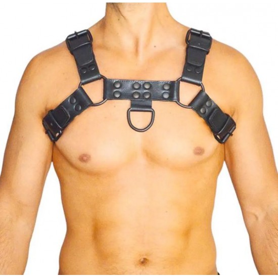Men's Real Leather Harness, Premium Leather Harness, Handcrafted Fetish Bulldog Chest Harness With Black Accessory, Adjustable Fit. 